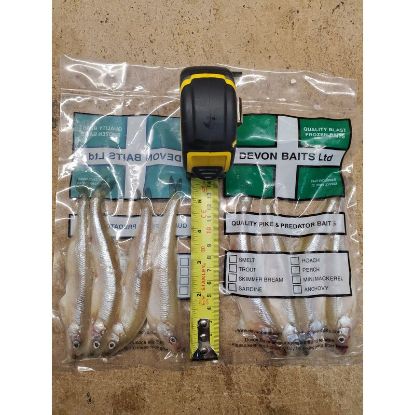 Picture of DEVON BAITS Deadbait Smelt Medium (4 Pack)