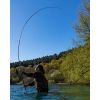 Picture of FOX EOS Pro Carp Rod 13ft 3.5lbs *SALE*